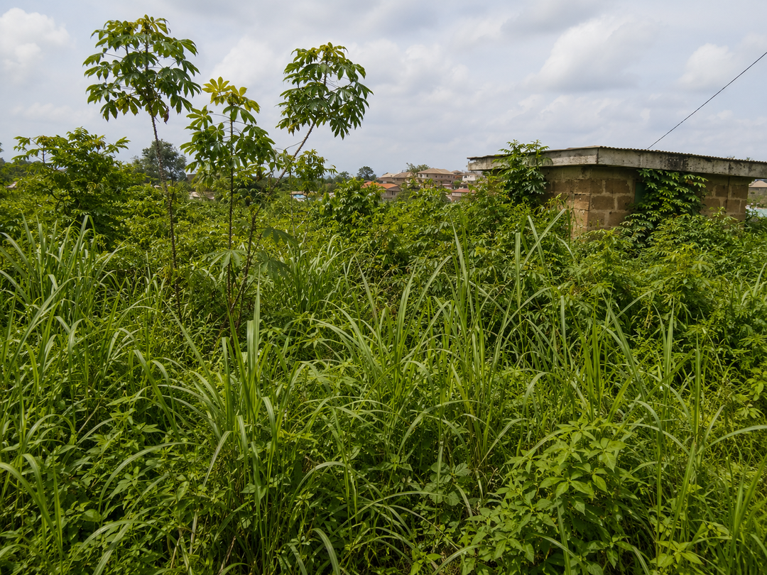 Land for Sale in Ikorodu, Lagos